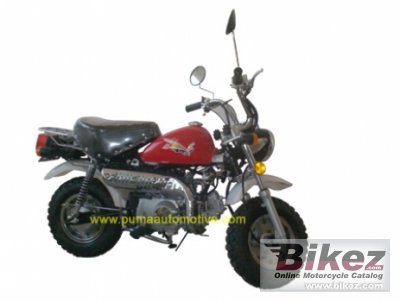 2010 Puma Apollo 125 photo
